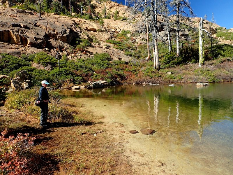 The beach at Towhead Lake