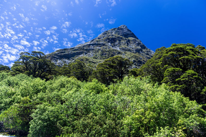 Looking up Mount Balloon from Roaring Burn