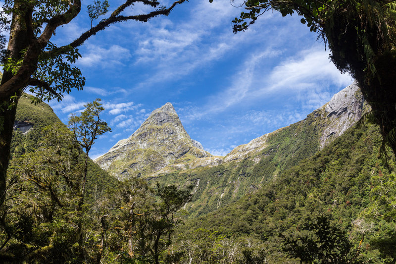 Mount Balloon from the Sutherland Falls Track