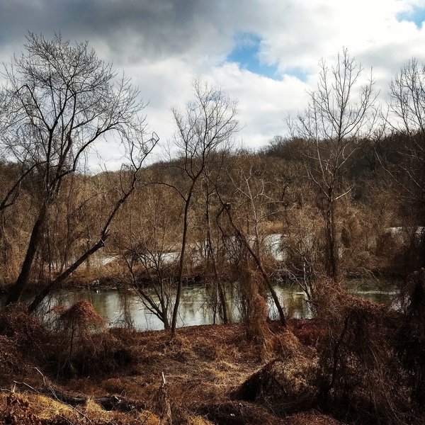 Beautiful view of Roland Run from the yellow trail