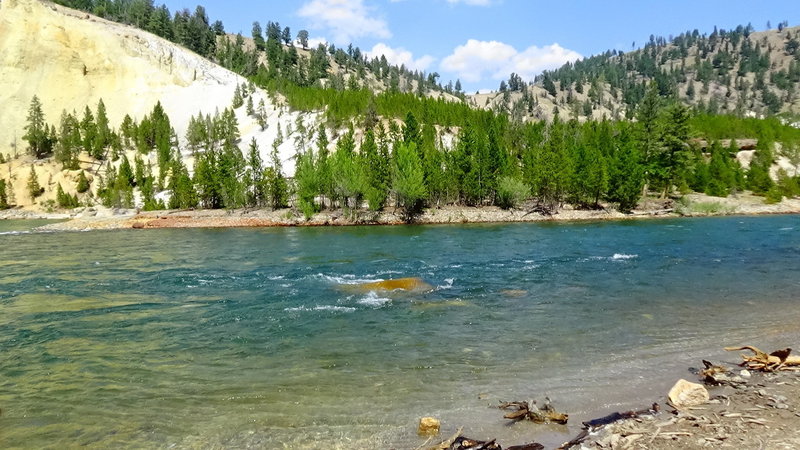 The Yellowstone River, next to Tower Fall Trail