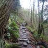 Rough-hewn staircase in the places the climb is a bit steep.