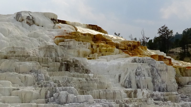 Mammoth Hot Springs, near Gardiner, MT