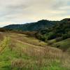 Vallecito Trail travels through the grass and wooded hills of Calero County Park.