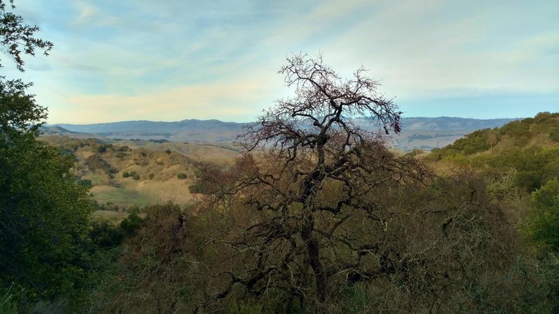 Great view of the Diablo Range in the distance, across Santa Clara Valley, when looking northeast from high on Canada del Oro Trail