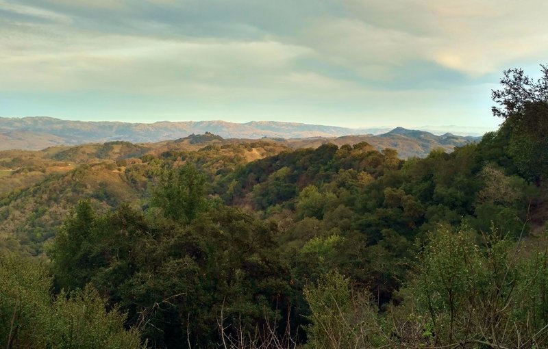 Ridges and hills south of San Jose, seen from the Canada del Oro Cut-Off Trail on a late afternoon