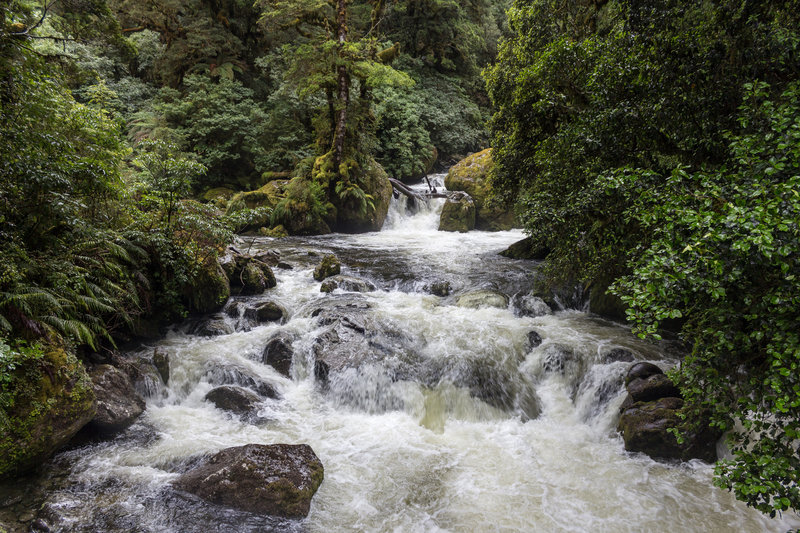 Mackay Creek