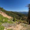 Mount Shasta in view just before the junction with the PCT