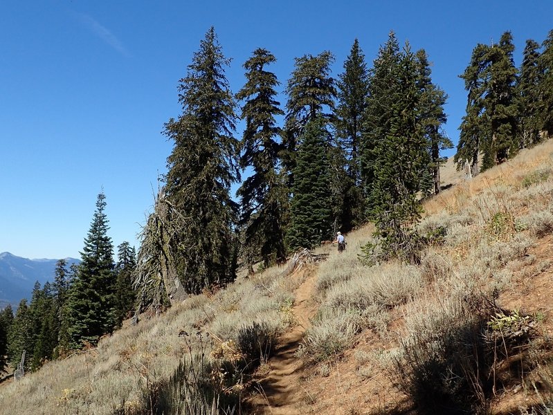 Just north of the junction with the Middle Boulder Lake Trail