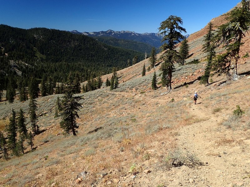 Descending the Middle Boulder Trail