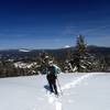 Mount McLoughlin from Hobart Bluff in winter