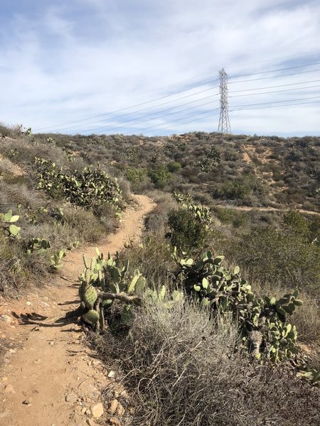 Canyon trail descent