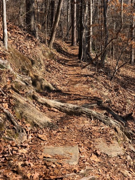 A fun hike, but better on a bike