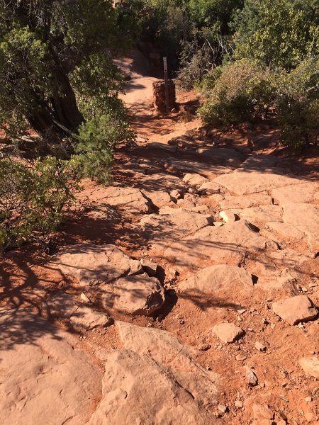 Trail is with marked with caged rock trail markers