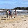 Beach walks