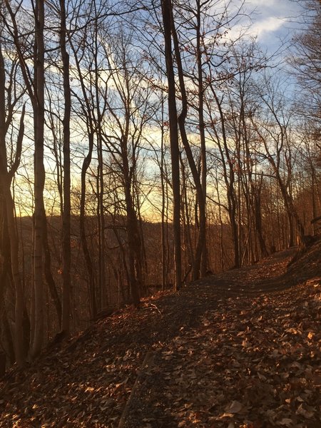 Evening view down Whitmore Park Trail