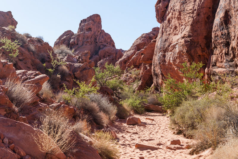 Sandy trail