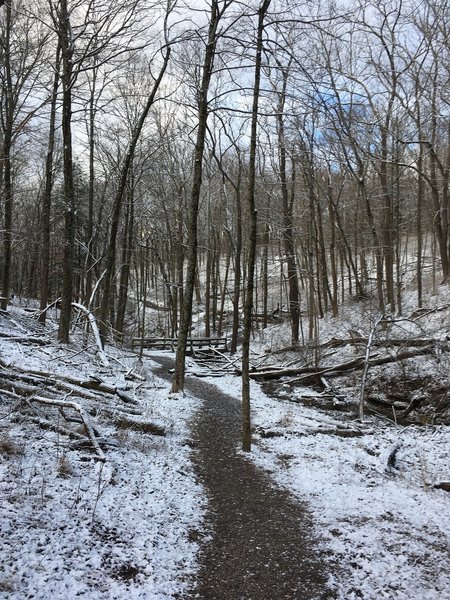 Singletrack headed to the bridge.