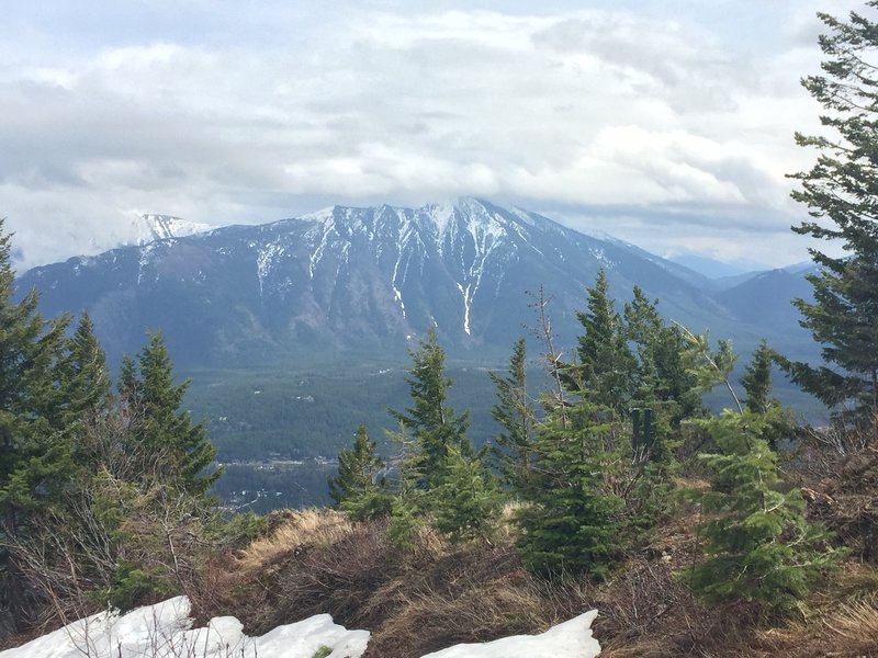 Looking east from the lookout tower