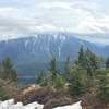 Looking east from the lookout tower