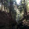 Looking down ravine off Whispering Cave Trail.