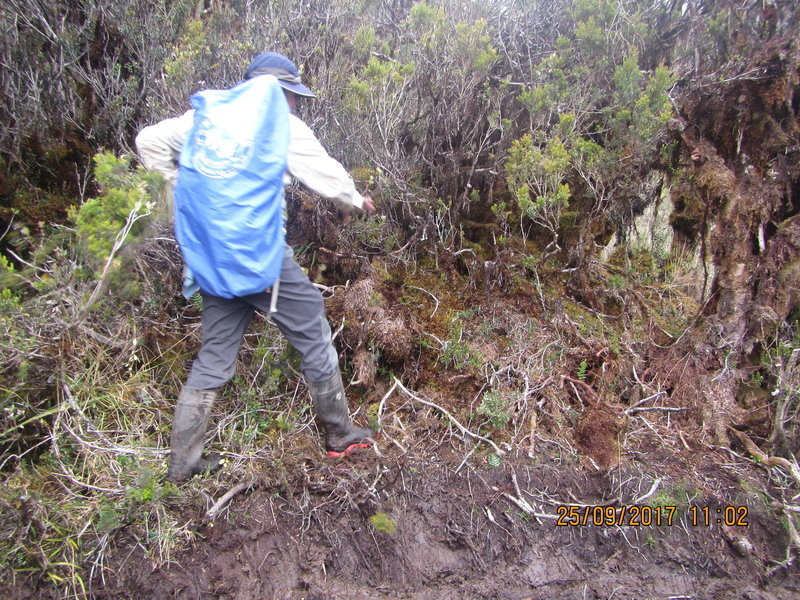 Carstensz Pyramid track