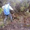 Carstensz Pyramid track