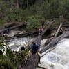 cross the river with tree bridge - trekking carstensz pyramid