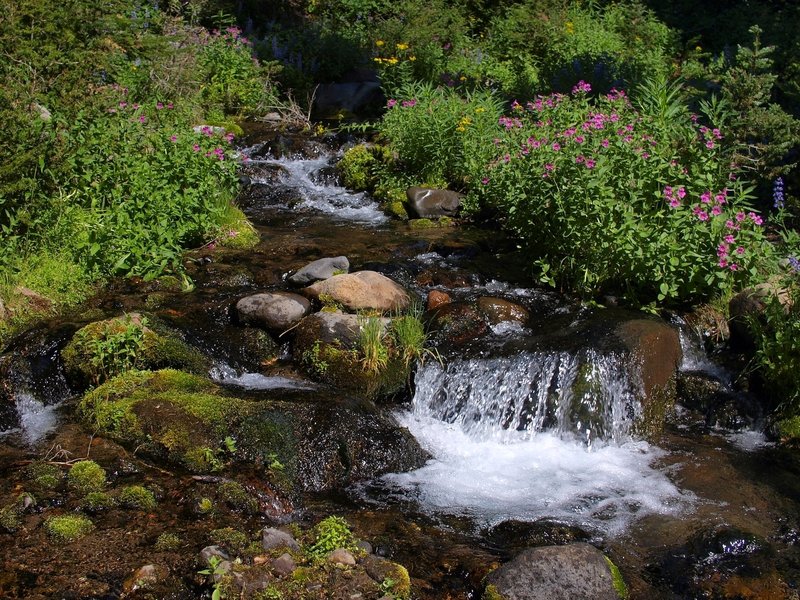 Cascade Creek.