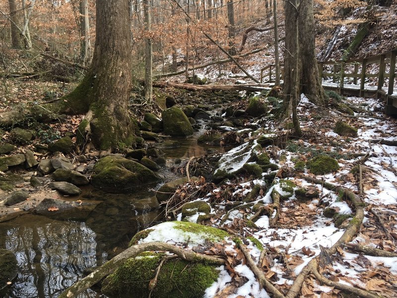 Trail next to scenic stream, just before cascade.