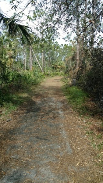 Wide trails make for easy navigation.