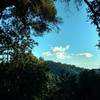 Santa Rosalia Mountain (center) can be seen through the trees along Ridge Trail.