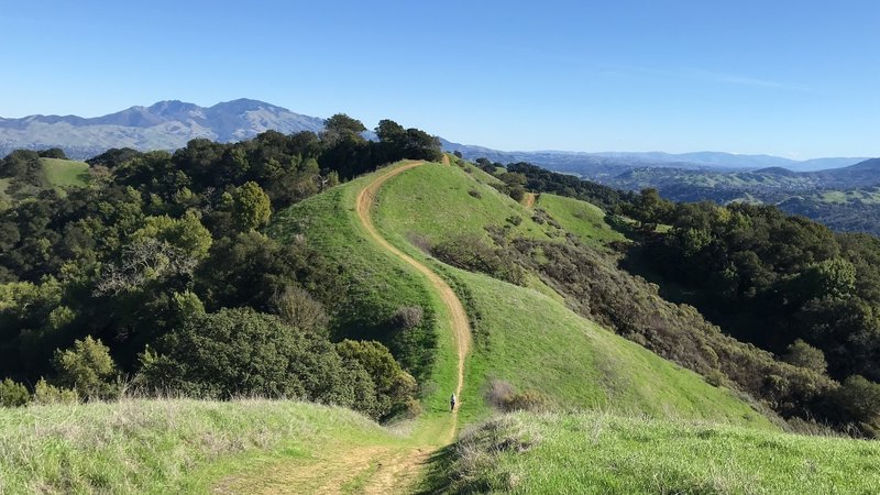 Rolling hills with steep inclines.