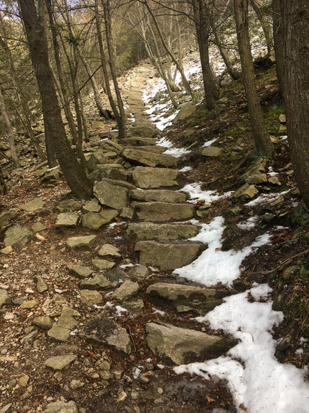 Stone steps leading up mountain.