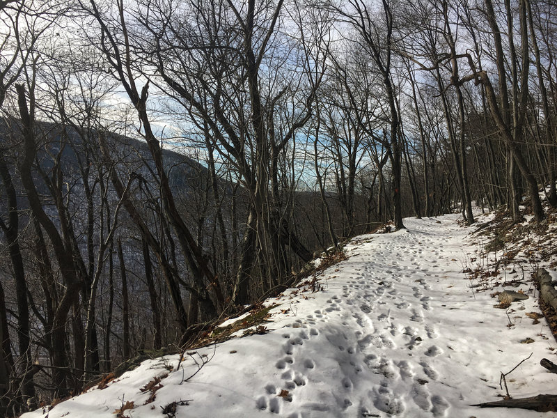 Snow covered trail leading to the Ledge Quarry.