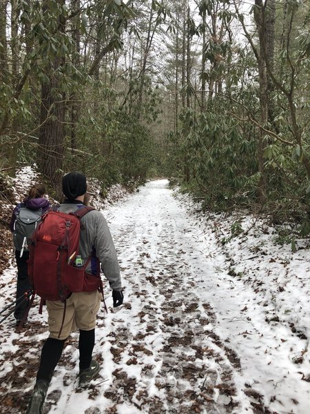 Enjoying the easy stroll down Schoolhouse Gap.