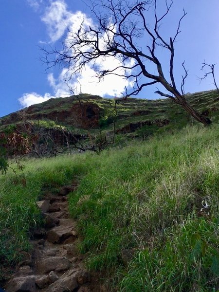 Hiking upward!