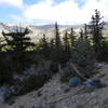 Mt. Islip with pinyon and yucca in foreground.