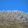 View of Mt. Islip on a cold day.