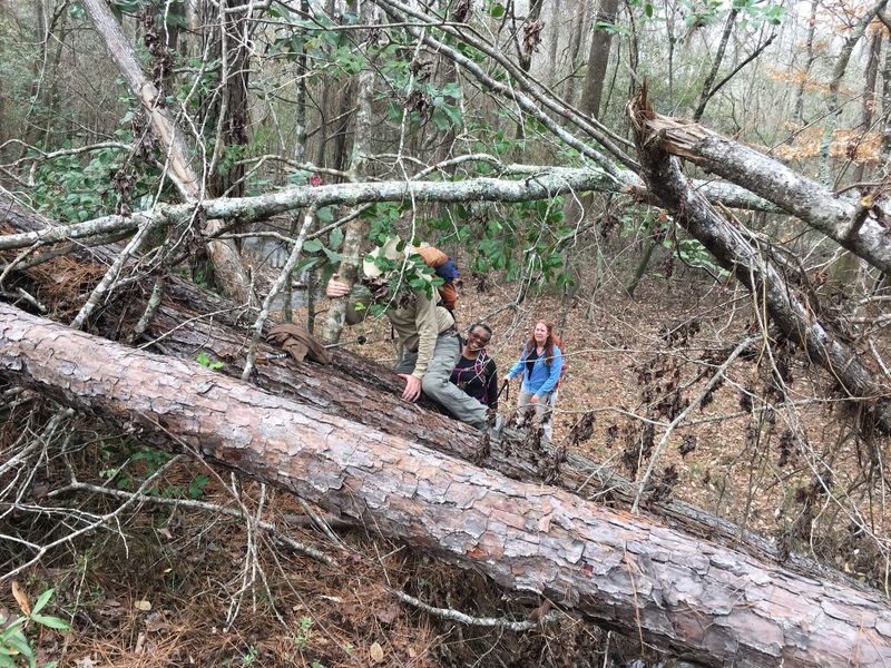 Reaching the dry foot crossing at Beech Creek.