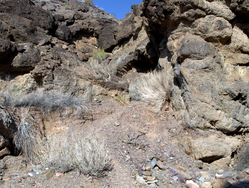 Where the trail leaves the wash for the ridge.