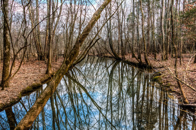 Bledsoe Creek State Park.