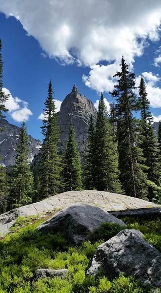 Lone Eagle Peak over the trees.