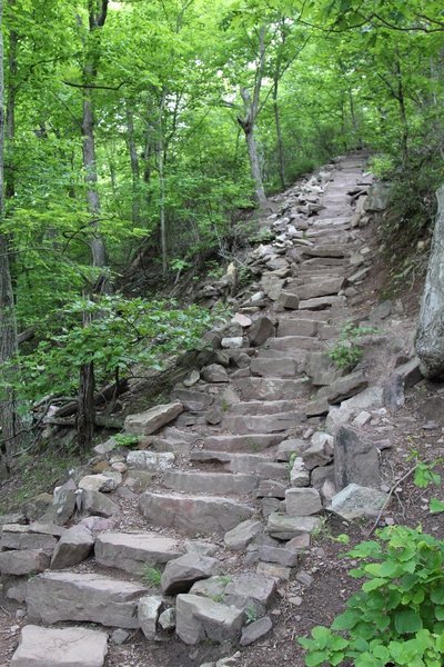 Look mama, no rails on stairs!