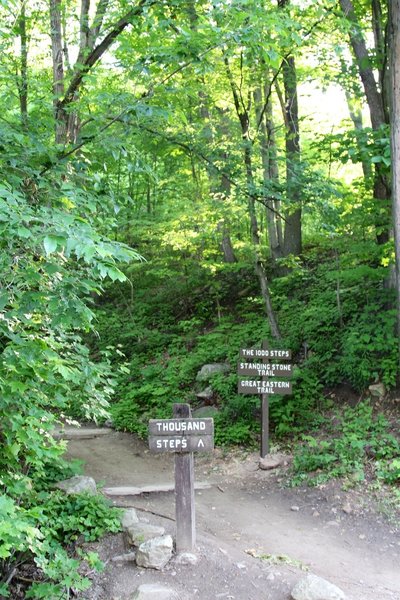 The 1000 (Thousand) Steps trailhead.