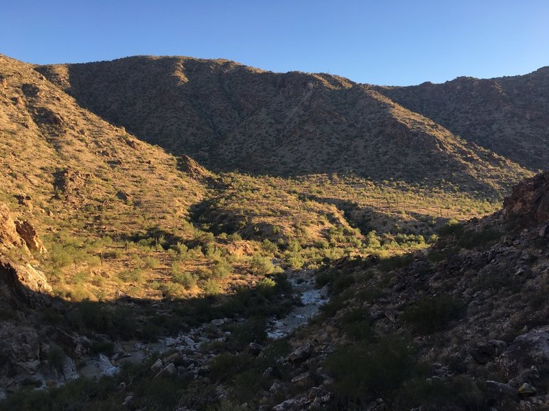 Looking back down the Canyon