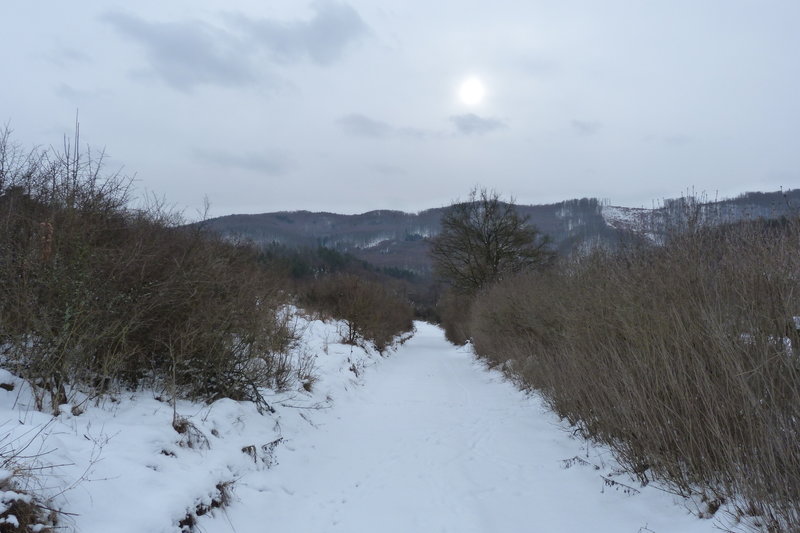 View from the trail