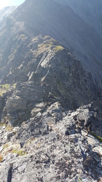 The scrambling section near Adelie Point.