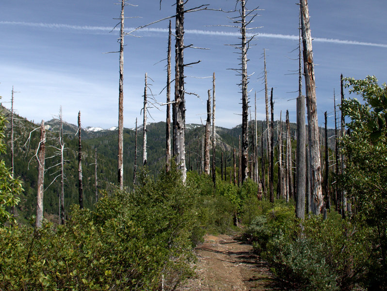 Climbing an exposed ridge east of Bald Mountain