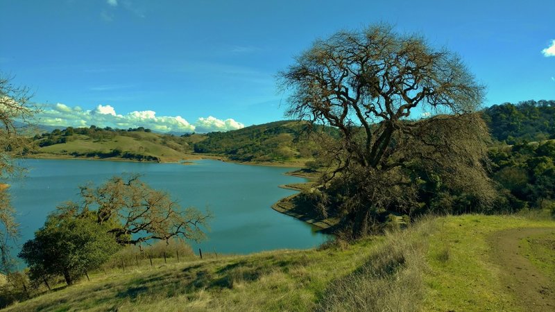 Calero Reservoir near the dam, as seen from Cottle Trail.